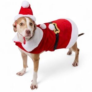 Santa Claus Dog Costume - Red and White